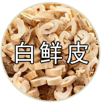品种专题