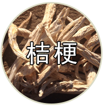 品种专题