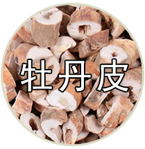 品种专题