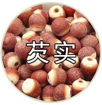 品种专题