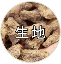 品种专题
