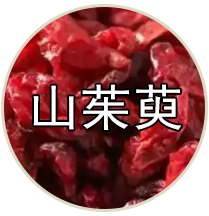 品种专题