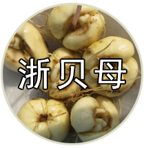 品种专题