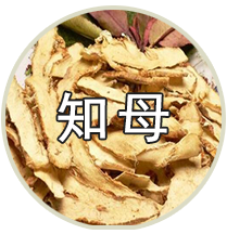 品种专题